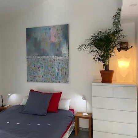 科里纳公寓式酒店 洛迦诺